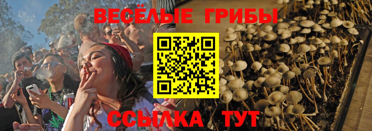 Щёкино  Псилоцибиновые грибы GOLDEN TEACHER  Вход с VPN 